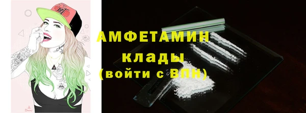 твердый Аркадак