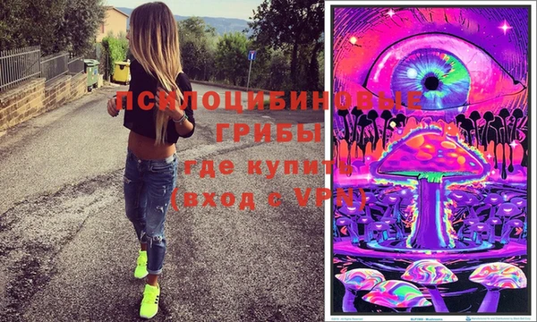 твердый Аркадак
