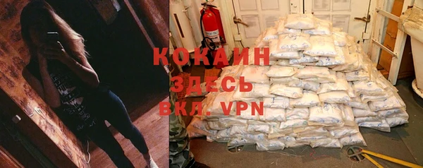 твердый Аркадак