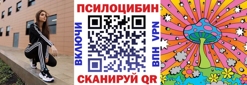 как найти   shop как зайти  Галлюциногенные грибы MAGIC MUSHROOMS  Тейково 