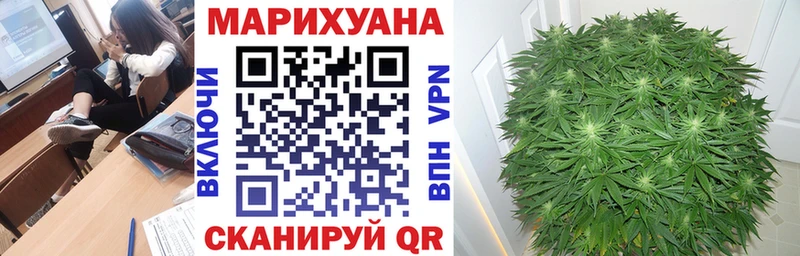 Конопля индика Тейково